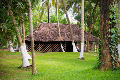 A secluded room amidst nature for peaceful practise of Yoga and Meditation | Kairali-The Ayurvedic Healing Village