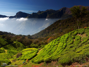 Ayurveda & Yoga Retreat, Kerala, India