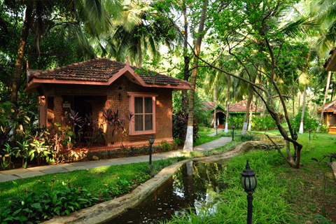 the luxurious gardens at ayurvedic healing village where you can receive ayurveda treatment