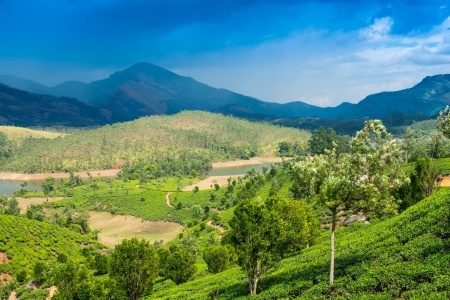 Green nature,fresh air natural serenity and sumptuous beauty only at kerala tours