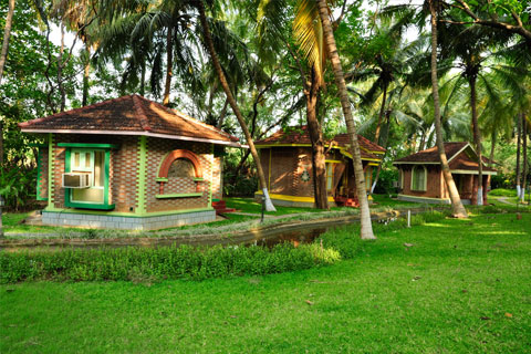 Ayurvedic Healing Village, Kerala